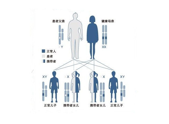 家族遗传病与代孕的关系