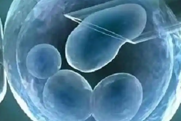 代孕胚胎移植需要做几次成功率更高